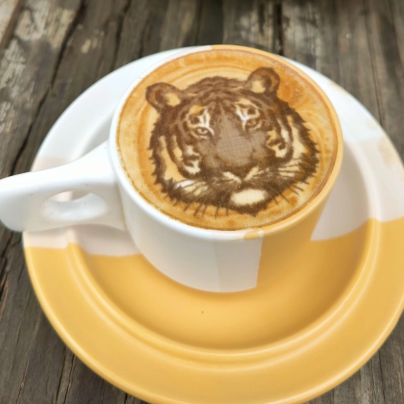 Nieuwe trend commerciële resta - Coffee Equipment And Supplies recensie en prijs